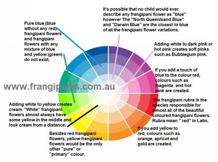 frangipani-flower-colour-wheel